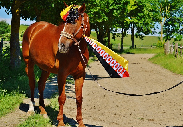 扭转局势 扭转局势