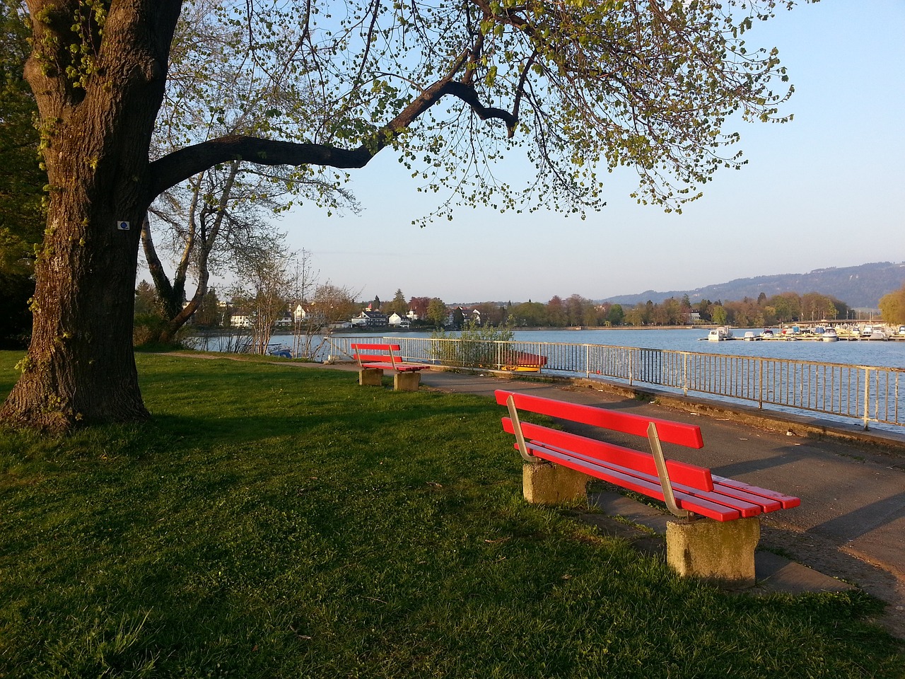 健康隱患 健康隱患