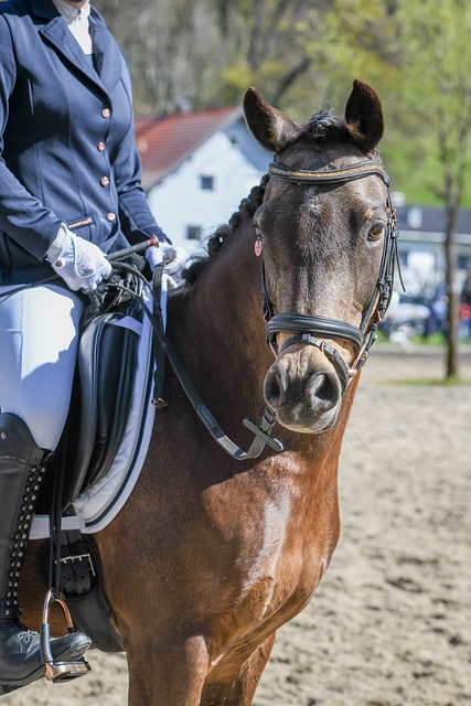 是这场比赛 是这场比赛