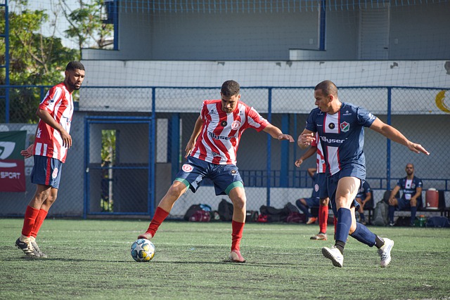 暴力行为 暴力行为