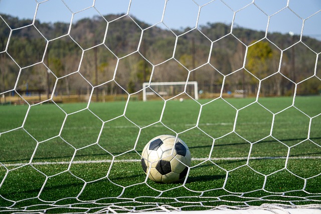 未来奠定了 未来奠定了