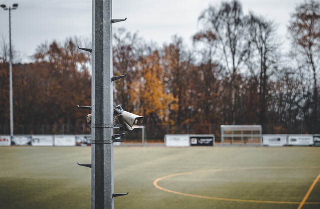 球队带来了 球队带来了