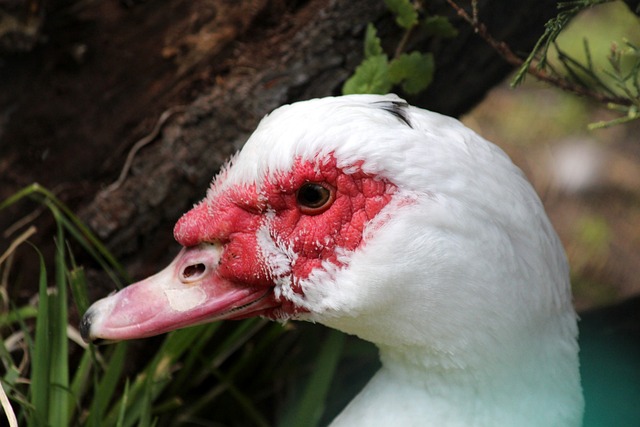 管理层重新 管理层重新