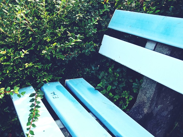 整和坚定信 整和坚定信